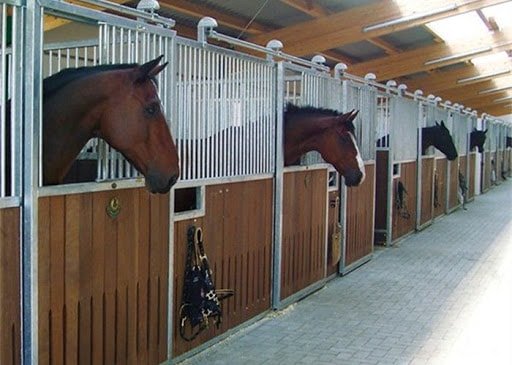 Door of Horse Barn