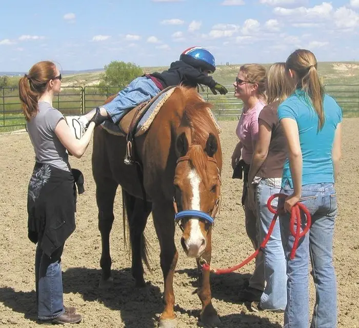 Effectiveness of Horse Therapy