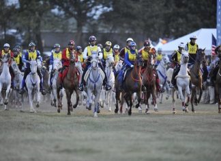 Equestrian Sports Events