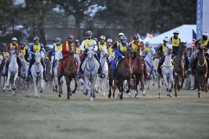 Equestrian Sports Events