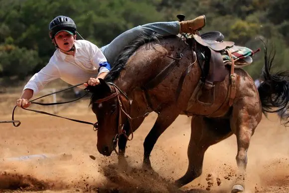 Equestrian Sports Gymkhana