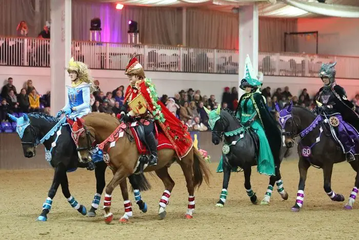 Equestrian Sports Quadrille