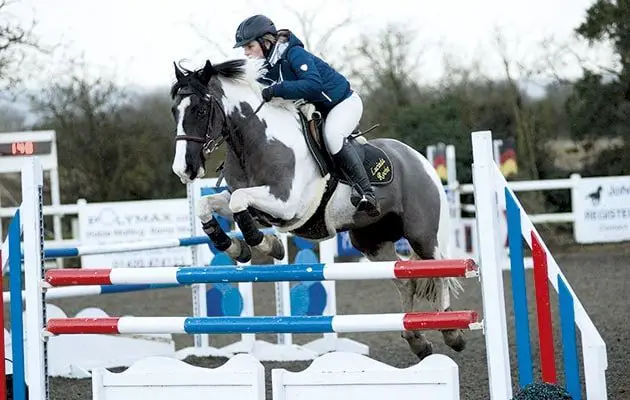 Equestrian Sports Showjumping