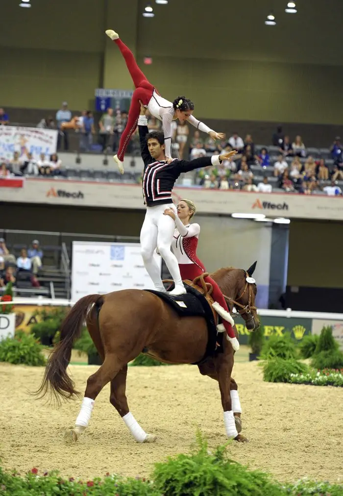 Equestrian Vaulting