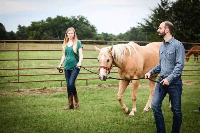 Equine Assisted Psychotherapy