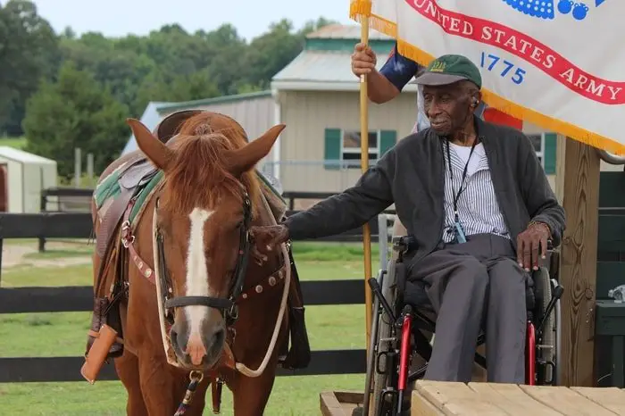 Equine Therapist