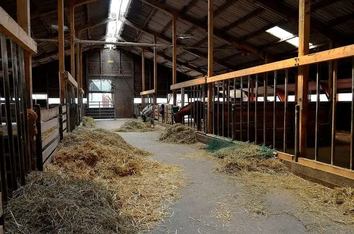 Feed Trough at Stable