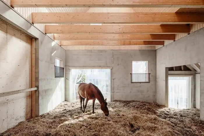 Floor of a Stable