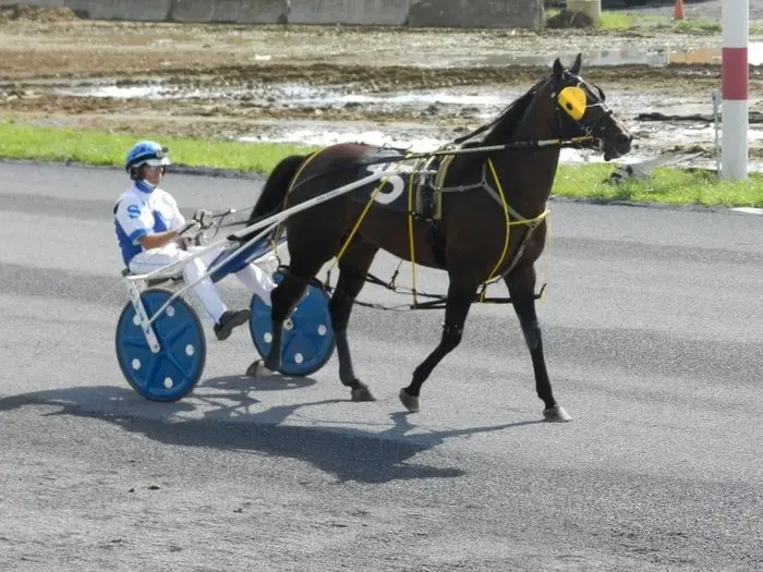 Harness Equestrian Games