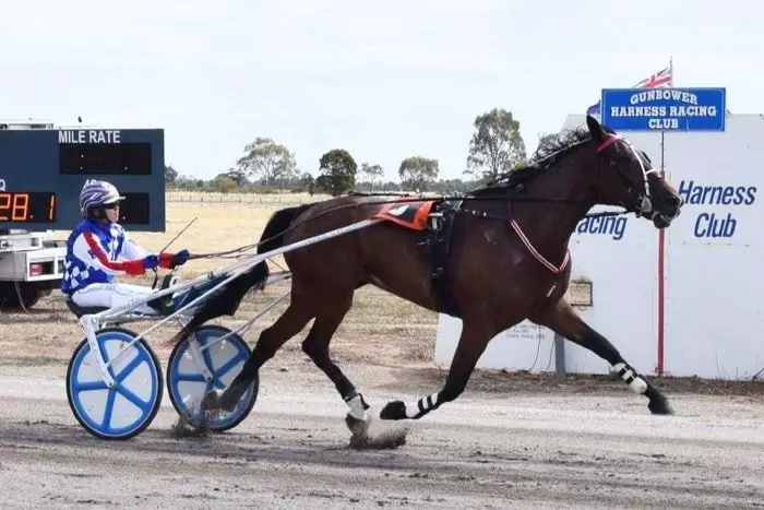 Harness Racing