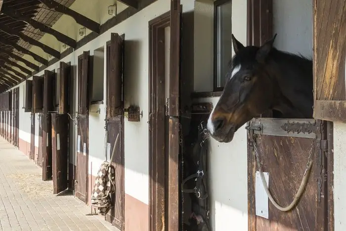 Horse Accommodation