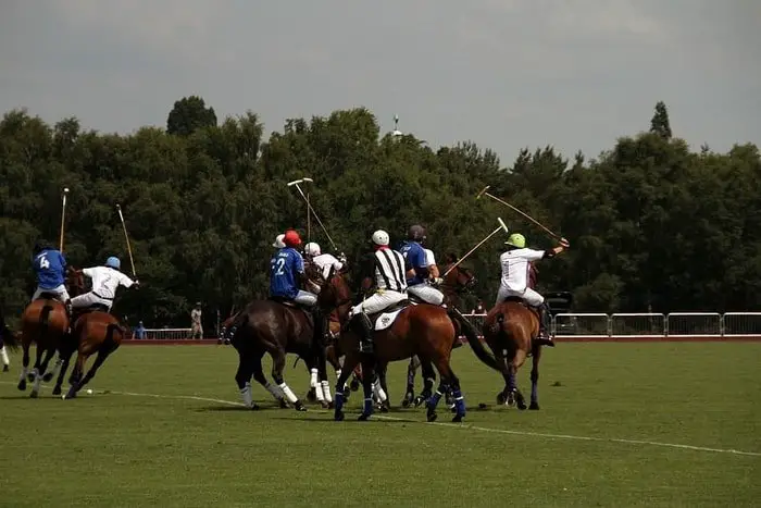 Horse Polo