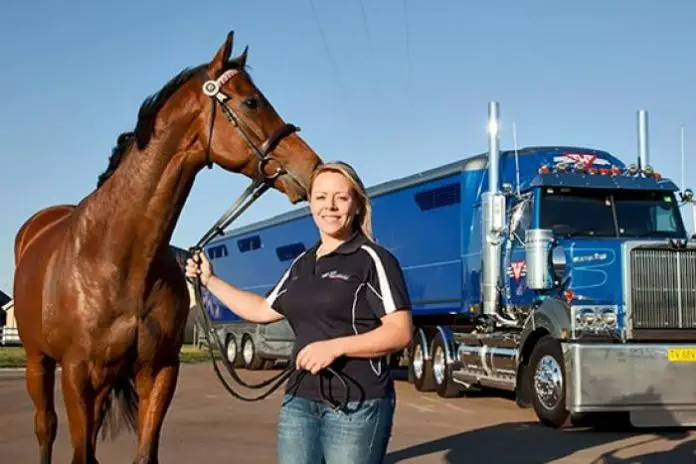 Horse Transport Methods