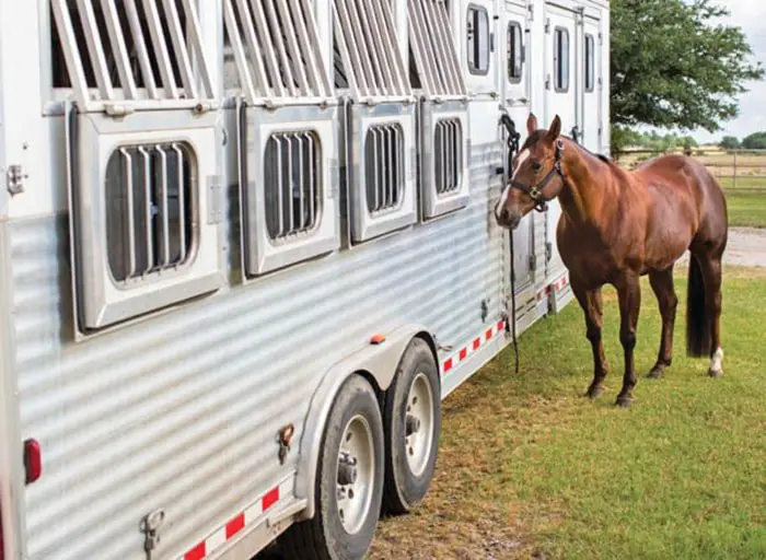 Making safe of your horse while Transport