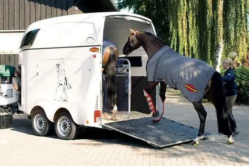 Safe Horse Transport