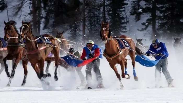 Skijoring Racing