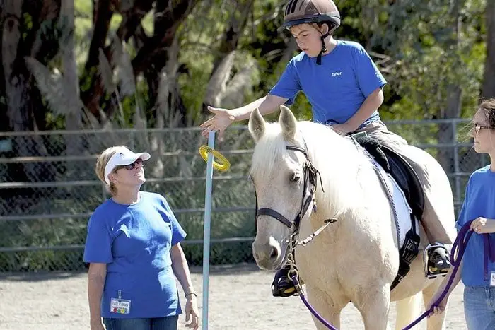 Therapeutic Value of Horse