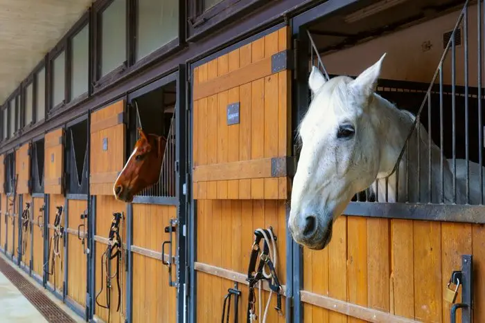 Windows of Stable