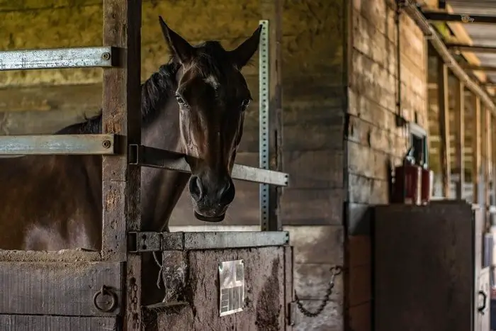 Wiring of Equine Stable