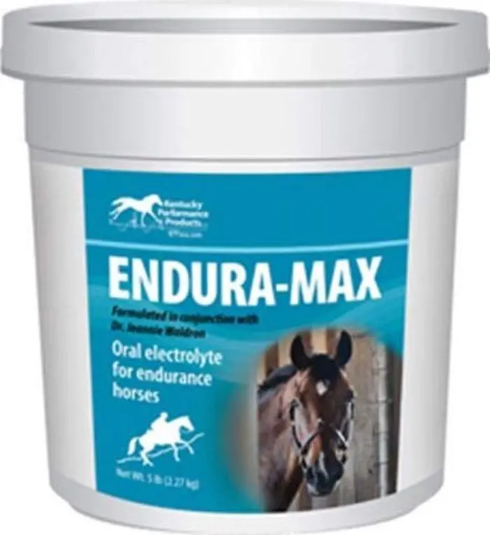 Electrolytes for Horse