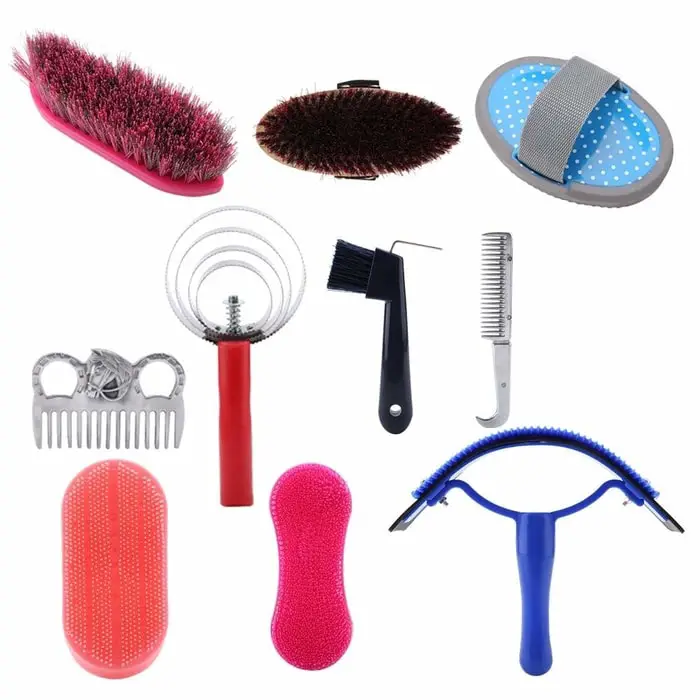 Grooming Tools for Horses