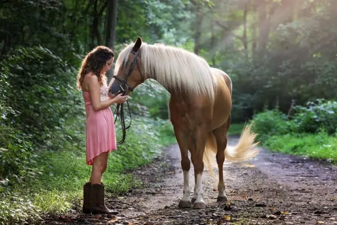 Horse Allergies