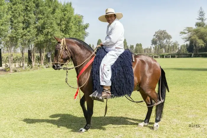 Name of Peruvian Paso