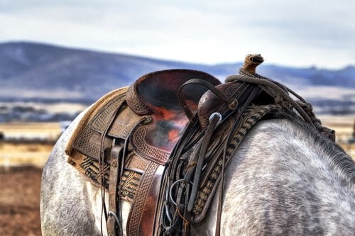 Touch by Horse Tack