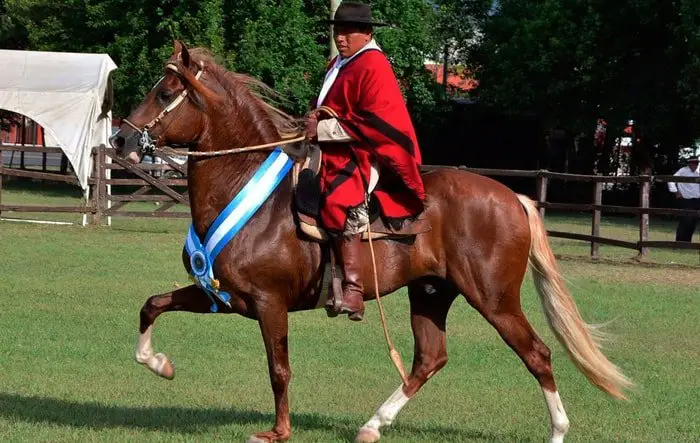 Unique Traits of Peruvian