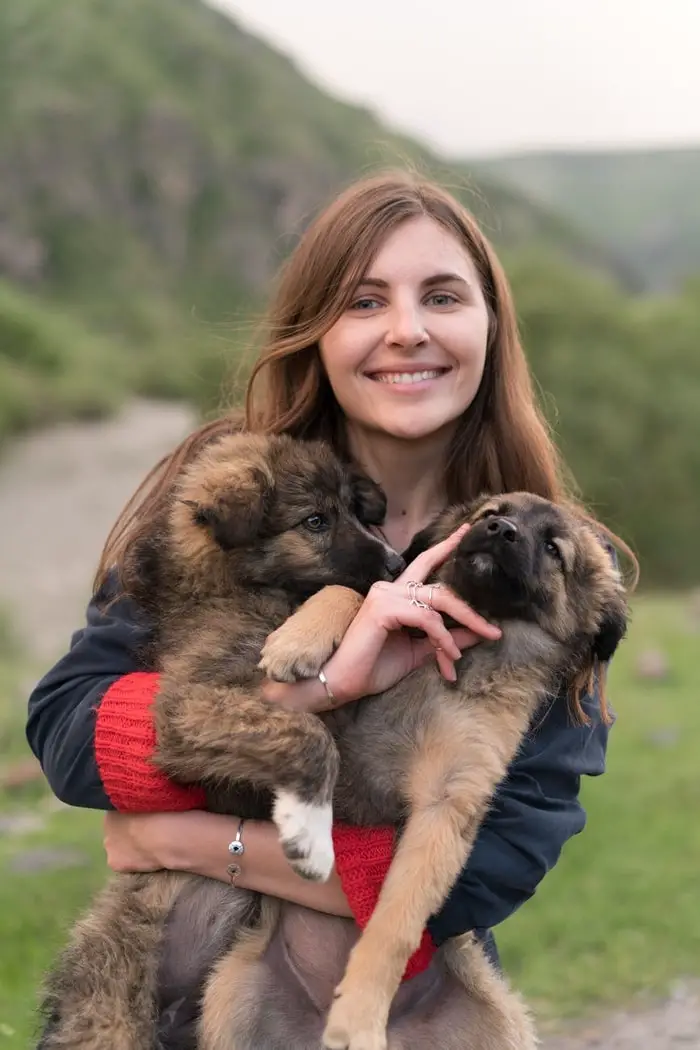 Happy Dogs