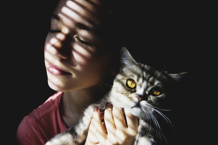 Hypoallergenic Cat Breeds