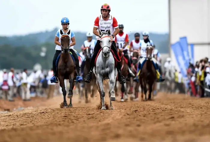 Endurance Riding