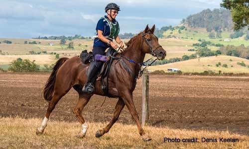 Preparation of Endurance Rider