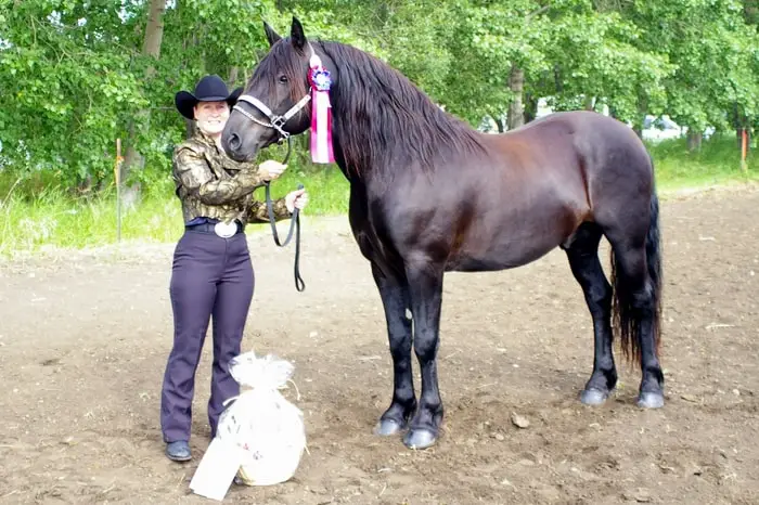 Care and management of Canadian Horse