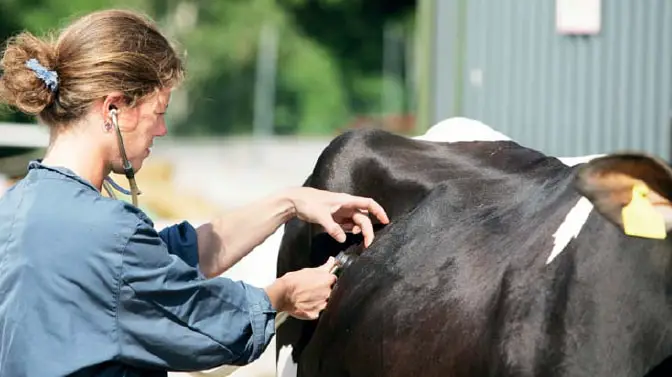 Differential Diagnosis of Tick Fever