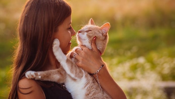 Cat Scratch Disease (CSD)