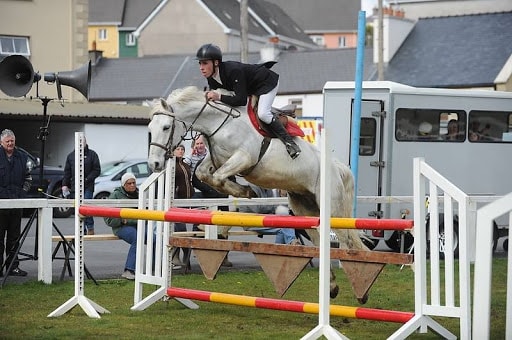 Jumping by Connemara Irish Pony