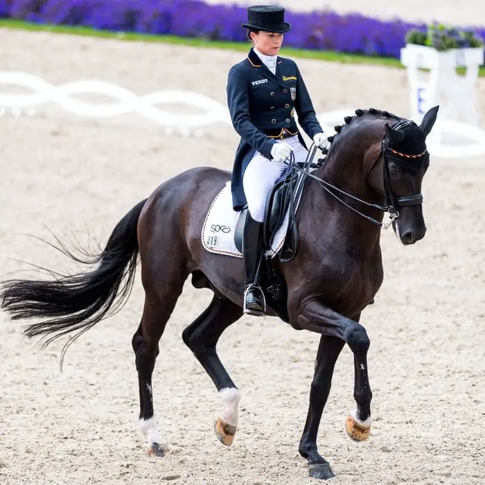 Dressage by Hanoverian