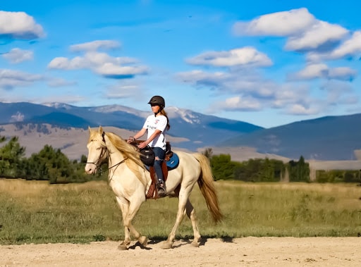 Endurance Riding by RM Horse