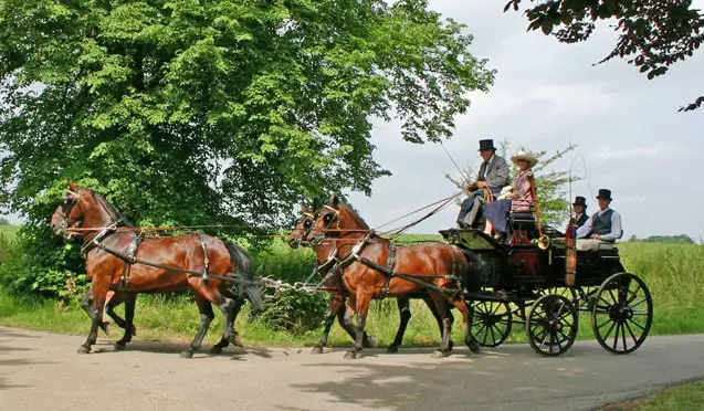 Horse Cart by Cleveland Bay