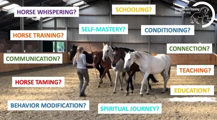 Different Methods of Horse Training