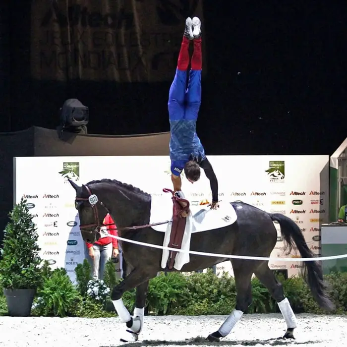 Dressage Horse Training