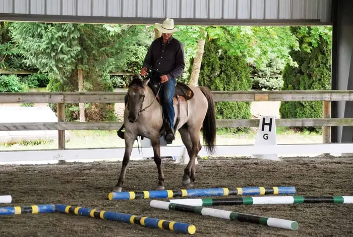 Indoor Horse Training