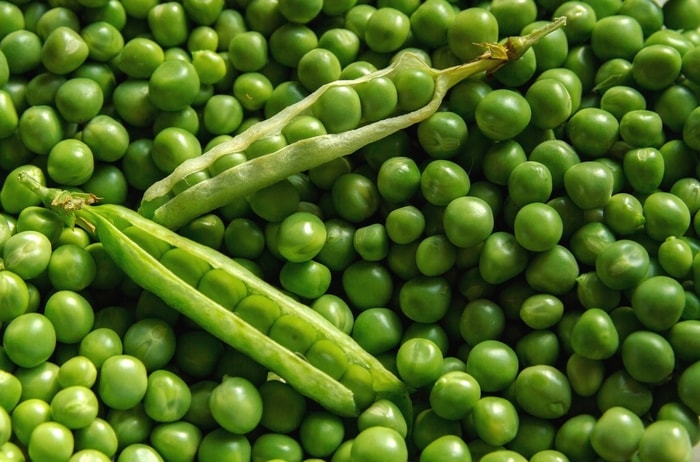 Peas for Horse