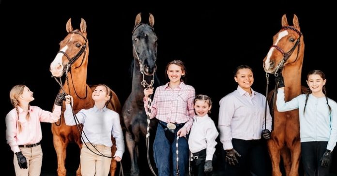 American Saddlebred Horse