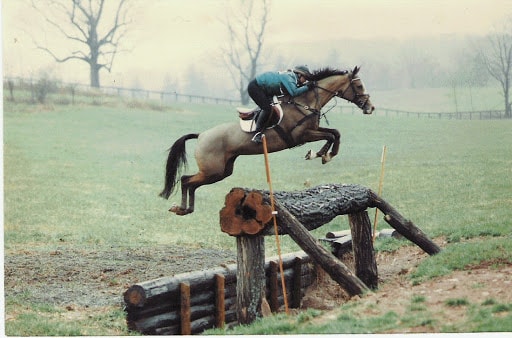 Akhal Teke -Eventing