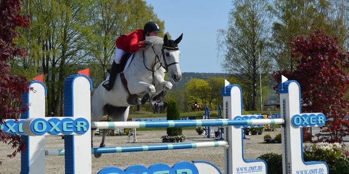 Equestrian Sports by Dutch Horse
