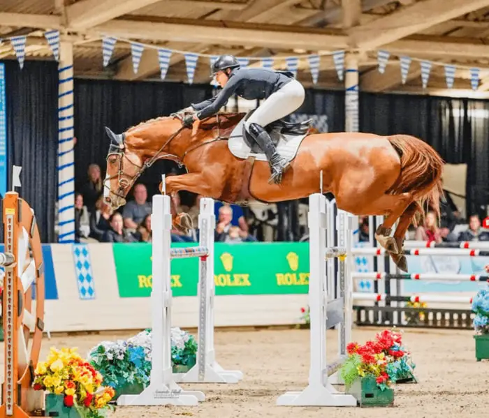 Jumping by Dutch Horse