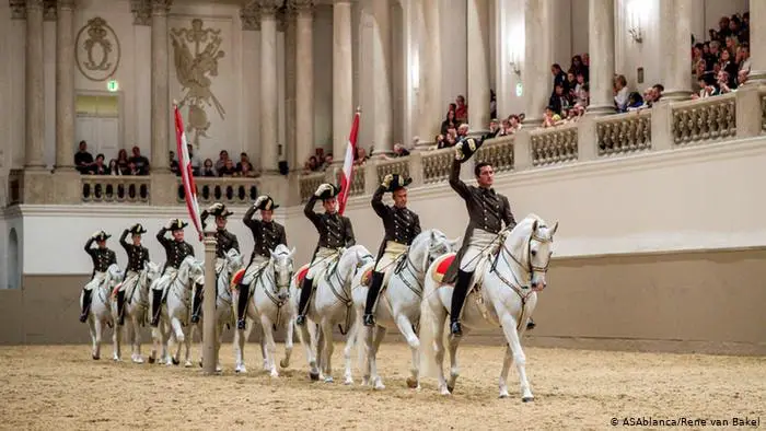 Beautiful Lipizzan Horse