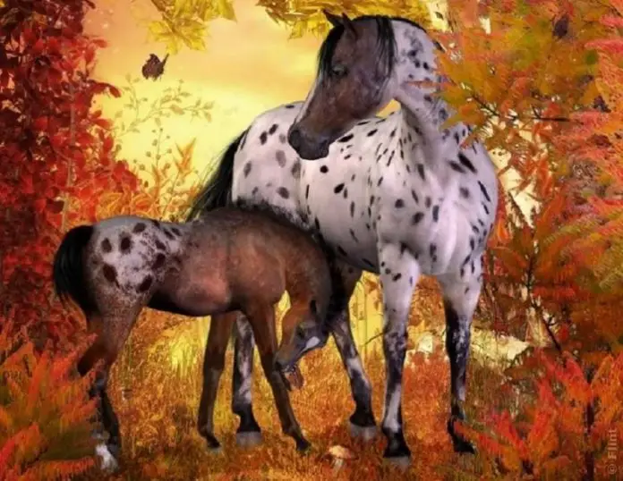 Equine Piroplasmosis